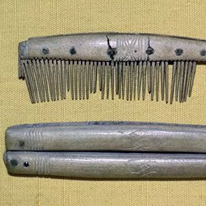 Viking period bone and ivory comb and case