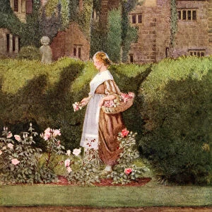 Coloured Illustration By Eleanor Fortescue Brickdale Illustrating The Poem Cherry Ripe By Anon. From The Book Palgraves Goldentreasury Of Songs And Lyrics Published 1919