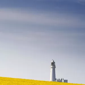 Field Of Yellow Flowers, Lighthouse