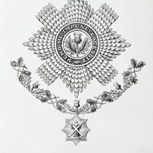 Star, Collar And Badge Of The Order Of The Thistle. From The Cyclopaedia Or Universal Dictionary Of Arts, Sciences And Literature By Abraham Rees, Published London 1820