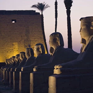 Stone Statues And The Luxor Temple On The East Bank Of Luxor Along The Nile River; Luxor, Egypt