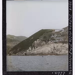 Punta Falconaia, Elba Island