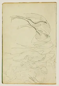 Compositional study, horse studies