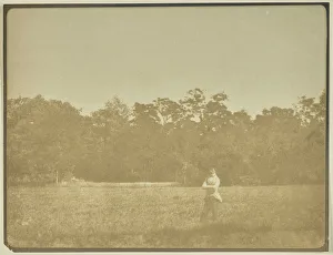 Landscape Trees Field Single Figure Attributed Landscape Trees Field Single Figure Attributed