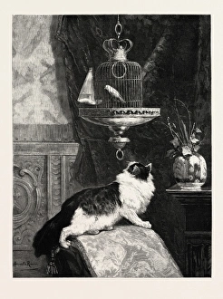 A LONGING LOOK, PICTURE BY HENRIETTE RONNER, engraving 1890, engraved image, history A LONGING LOOK, PICTURE BY HENRIETTE RONNER, engraving 1890, engraved image, history