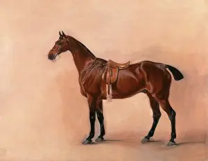 Study of a Saddled Bay Hunter Dated, lower right: 1828, John Ferneley